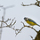 Benjamin_Freese